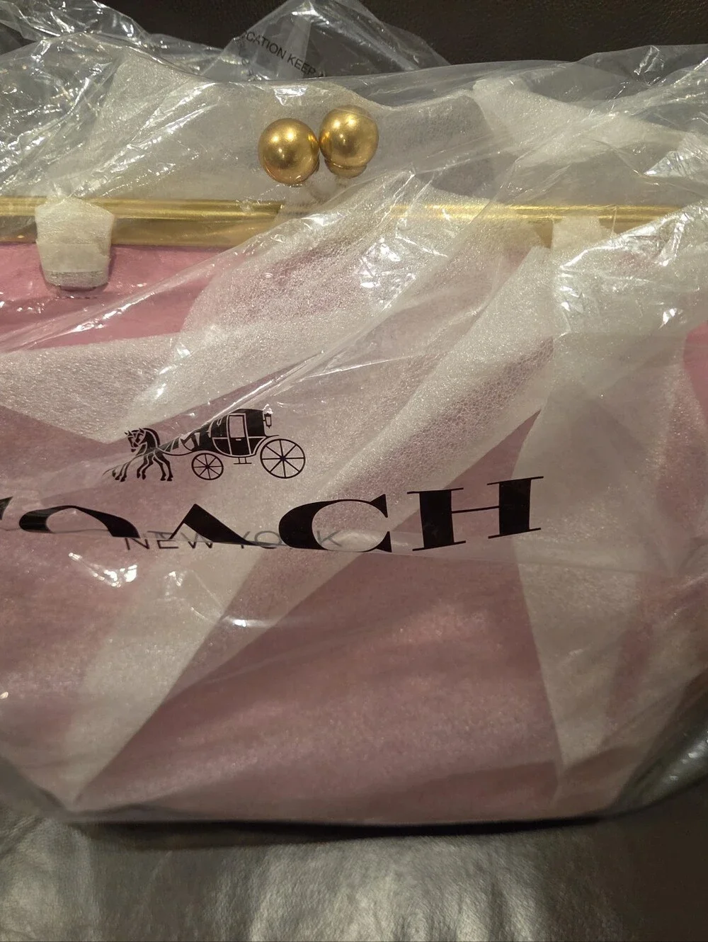 Coach Pink Frame Kiss-Lock Clutch with Gold Hardware